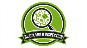 Black Mold Inspection