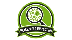 Black Mold Inspection